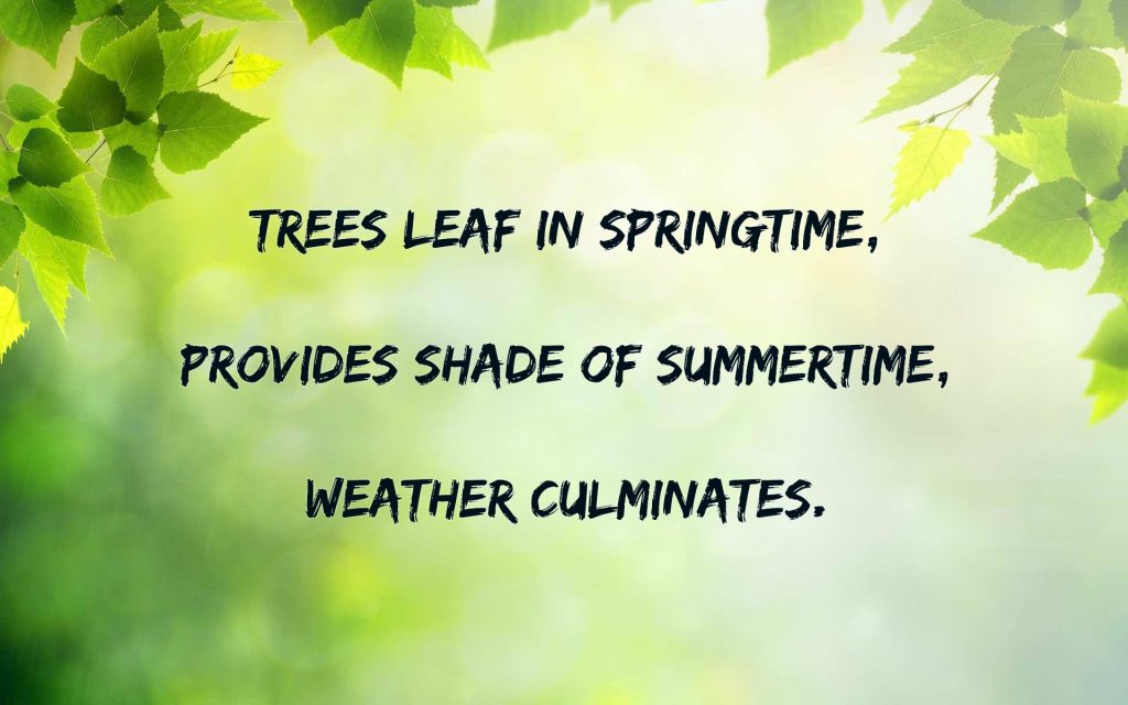 The Art of Haiku: Poetry’s Most Concise Form - Creative Writing Ink